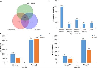 Frontiers  Splenic protection network revealed by transcriptome