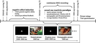 Xxx Rep Hd Pron Video Dawnload - Frontiers | The Impact of Negative Mood on Event-Related Potentials When  Viewing Pornographic Pictures