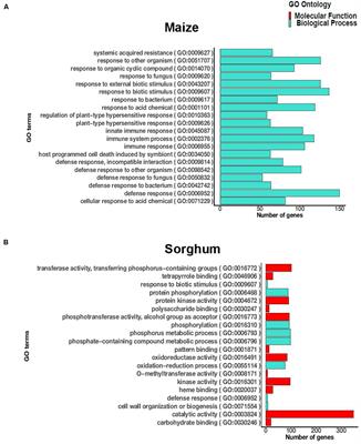 Frontiers  Characterization of fungal pathogens and germplasm