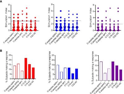 Frontiers Mapping T Cell Responses To Native And Neo Islet Antigen Epitopes In At Risk And Type 1 Diabetes Subjects Immunology