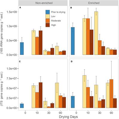 Frontiers  Attributes of Drying Define the Structure and Functioning of  Microbial Communities in Temperate Riverbed Sediment