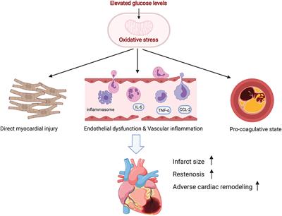 PDF) Comment on Tsai, Y.-C., et al. Association of Stress-Induced  Hyperglycemia and Diabetic Hyperglycemia with Mortality in Patients with  Traumatic Brain Injury: Analysis of a Propensity Score-Matched Population.  Int. J. Environ. Res.