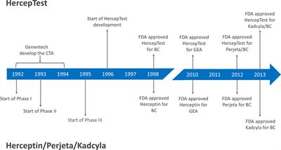 Frontiers | A Companion Diagnostic With Significant Clinical Impact in ...