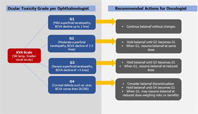 Frontiers | Ocular Toxicity of Belantamab Mafodotin, an Oncological ...