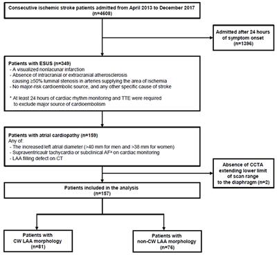 Frontiers | Impact of Left Atrial Appendage Morphology on Recurrence in ...