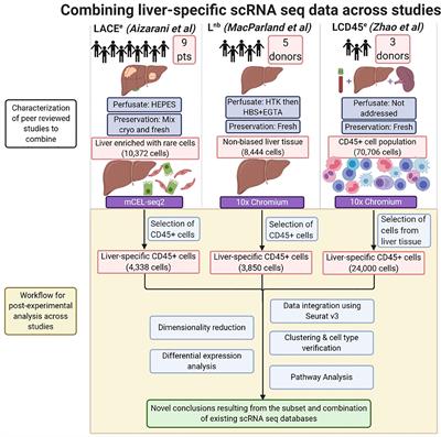 Frontiers | Creation of a Single Cell RNASeq Meta-Atlas to Define Human ...