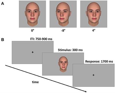 Frontiers | The Cone of Direct Gaze: A Stable Trait