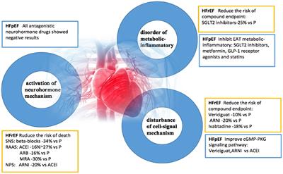 Ejection Fraction: Normal Range, Low Range, and Treatment