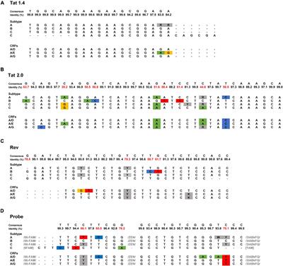 Frontiers | Inducible HIV-1 Reservoir Quantification: Clinical ...