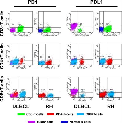 Frontiers | Flow Cytometry-Assessed PD1/PDL1 Status in Tumor ...