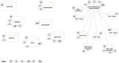 Frontiers Integration Of Online Omics Data Resources For Cancer Research