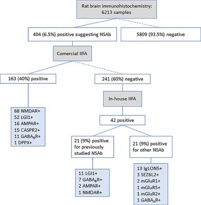 Frontiers | Limitations of a Commercial Assay as Diagnostic Test of ...