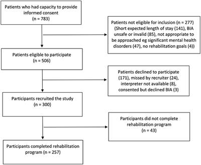 Frontiers  The Association Between Sarcopenia and Functional