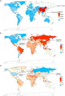 Frontiers | Global, Regional, and National Burden of Myocarditis From ...