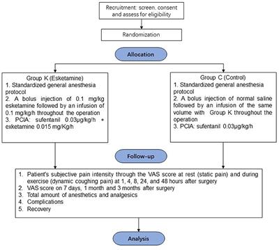 Frontiers  Effects of Esketamine on Acute and Chronic Pain After  Thoracoscopy Pulmonary Surgery Under General Anesthesia: A  Multicenter-Prospective, Randomized, Double-Blind, and Controlled Trial