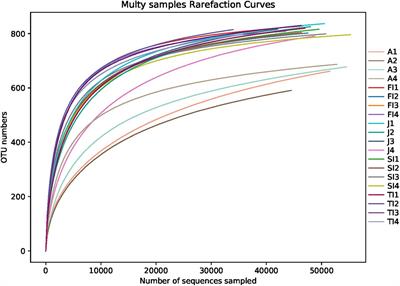 Frontiers  Rhodobacteraceae dominate the core microbiome of the