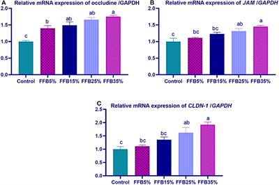 Frontiers Performance Serum Biochemical And Immunological Parameters And Digestive Enzyme And Intestinal Barrier Related Gene Expression Of Broiler Chickens Fed Fermented Fava Bean By Products As A Substitute For Conventional Feed Veterinary