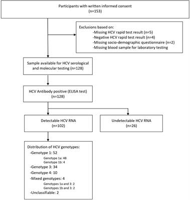 Frontiers | Distribution of HCV Genotypes Among People Who Inject Drugs ...