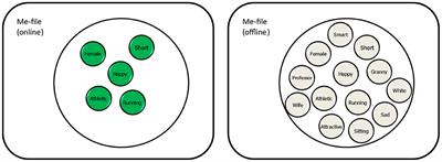 The Mechanisms Underlying the Human Minimal Self