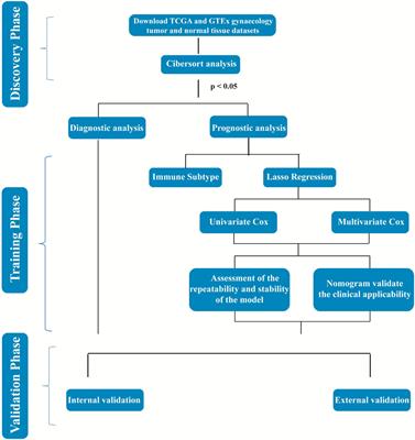 Frontiers | Immune Cell Infiltration as Signatures for the Diagnosis ...