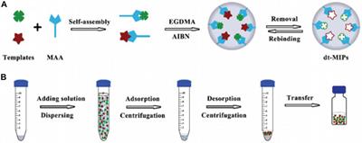 Frontiers | Recent Advances in Molecular-Imprinting-Based Solid-Phase ...