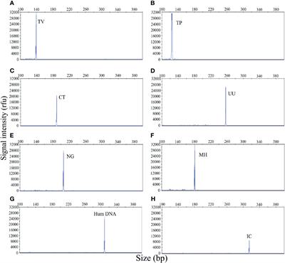 STI Panel 2.0 RT-PCR Go Plate Test Kit