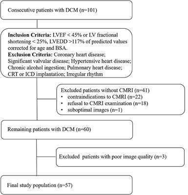 Frontiers  Echocardiographic Global Longitudinal Strain Is Associated With  Myocardial Fibrosis and Predicts Outcomes in Aortic Stenosis