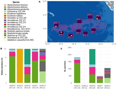 Frontiers Biogeography And Connectivity Across Habitat Types And Geographical Scales In Pacific Abyssal Scavenging Amphipods Marine Science