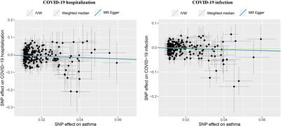 Mapping the human genetic architecture of COVID-19