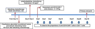 Frontiers | Intensive Debulking Chemotherapy Improves the Short-Term ...