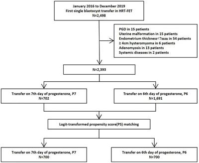 Frontiers | Live Birth Rate of Frozen-Thawed Single Blastocyst Transfer ...