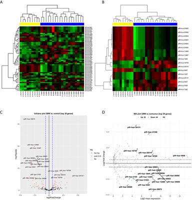 piR-8041 upregulation impacts expression of genes related to cellular