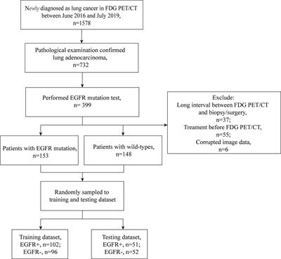 Frontiers | Prediction of EGFR Mutation Status Based on 18F-FDG PET/CT ...