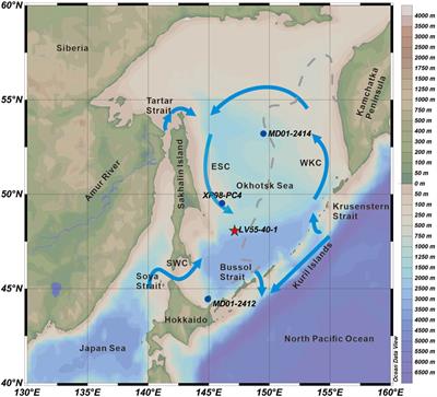 Frontiers | Orbital and Millennial Variations in Sea Ice in the ...