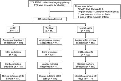 Frontiers | Effects of Intracoronary Pro-urokinase or Tirofiban on ...