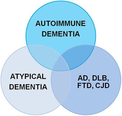 Frontiers | Current Nosology of Neural Autoantibody-Associated Dementia