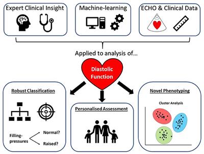 Should We Test for Diastolic Dysfunction? How and How Often