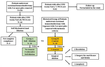 Aim: Hemorrhoidectomy is still the most effective surgical treatment for hemorrhoidal disease, but it is, however, associated with complications such as pain and stenosis. We proposed to break the vicious circle of pain–sphincteric spasm–stenosis–pain with the postoperative use of self-mechanical anal dilation.Methods: We retrospectively analyzed patients with hemorrhoidal disease presenting with a minimum of piles of three quadrants, treated with radiofrequency hemorrhoidectomy between January 2018 and December 2019. All the patients that at 3 weeks presented sphincteric spasms with painful defecation, were considered. Thirty-nine patients performed the cycle of self-mechanical anal dilation (Group A). This group was 1:1 matched with homogeneous patients from our historical cohort of patients (Group B). The primary endpoint was the pain evaluation, secondary endpoints: WCS, overall satisfaction of the patient, anal sphincter spasm, scarring, and the incidence of postoperative stenosis.Results: In Group A mean VAS was 3.25 after 14 days of application and 1.15 at the end of the application. In Group B mean VAS was persistently higher, with a mean VAS of 5 (p = 0.000002) and 3.38 (p = 0.0000000000009). In Group A we observed an improvement of symptoms at the end, with a good overall satisfaction (Group A 7.4 vs. Group B 5.9; p = 0.0000007) and a better mean WCS (Group A WCS 2.8 vs. Group B WCS 4.18; p = 0.0001). Stenosis was observed in 3/39 patients of Group B (7.7%).C...