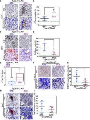 Frontiers  Immune Checkpoints Expression in Chronic Lung Allograft  Rejection