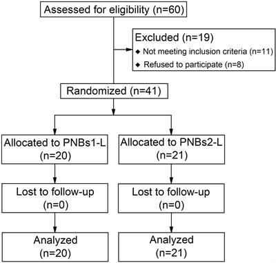 Hospital-, anaesthetist-, and patient-level variation in peripheral nerve  block utilisation for hip fracture surgery: a population-based  cross-sectional study - British Journal of Anaesthesia