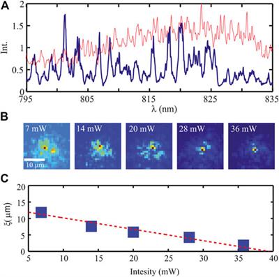 Frontiers Transverse And Quantum Localization Of Light A Review On Theory And Experiments Physics