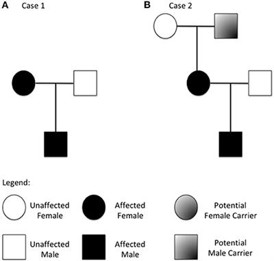 Frontiers | Case Report: Hereditary Alpha Tryptasemia in Children: A ...