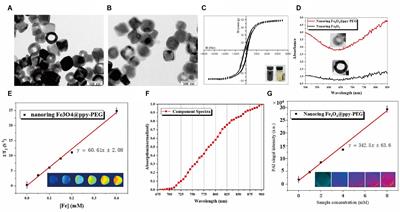 Frontiers | Polypyrrole-Coated Magnetite Vortex Nanoring for ...