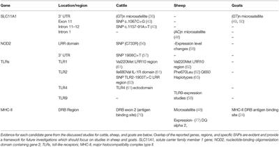 Frontiers | The Paratuberculosis Paradigm Examined: A Review of Host ...