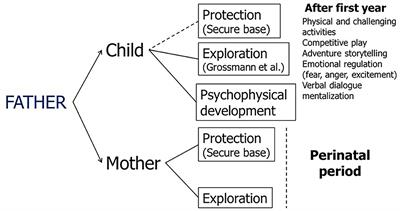 Frontiers Being The Father Of A Preterm Born Child Contemporary Research And Recommendations For Nicu Staff Pediatrics