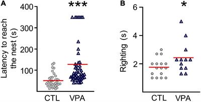 Astrocyte recruitment is augmented within the calcium wave in the VPA