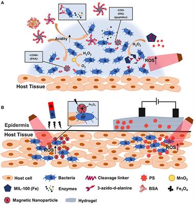 Frontiers | Stimuli-Responsive Nanoplatform-Assisted Photodynamic ...