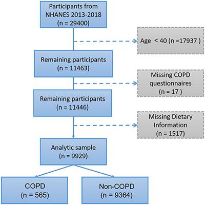 Frontiers | Association Between Diet-Related Inflammation and COPD ...