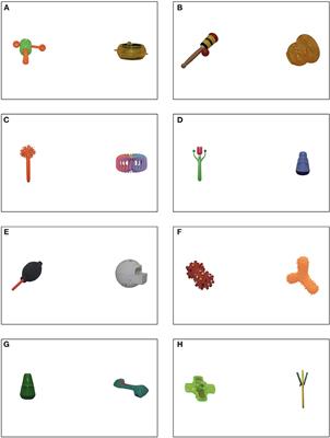 frontiers may i grab your attention an investigation into infants visual preferences for handled objects using lookit as an online platform for data collection psychology