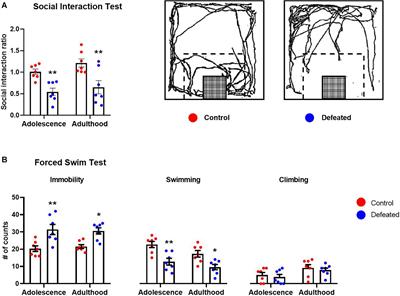 Frontiers  Experimental Social Stress: Dopaminergic Receptors, Oxidative  Stress, and c-Fos Protein Are Involved in Highly Aggressive Behavior